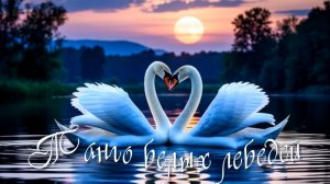 Танго белых лебедей (клип)