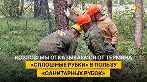 Козлов: мы отказываемся от термина «сплошные рубки» в пользу «санитарных рубок»