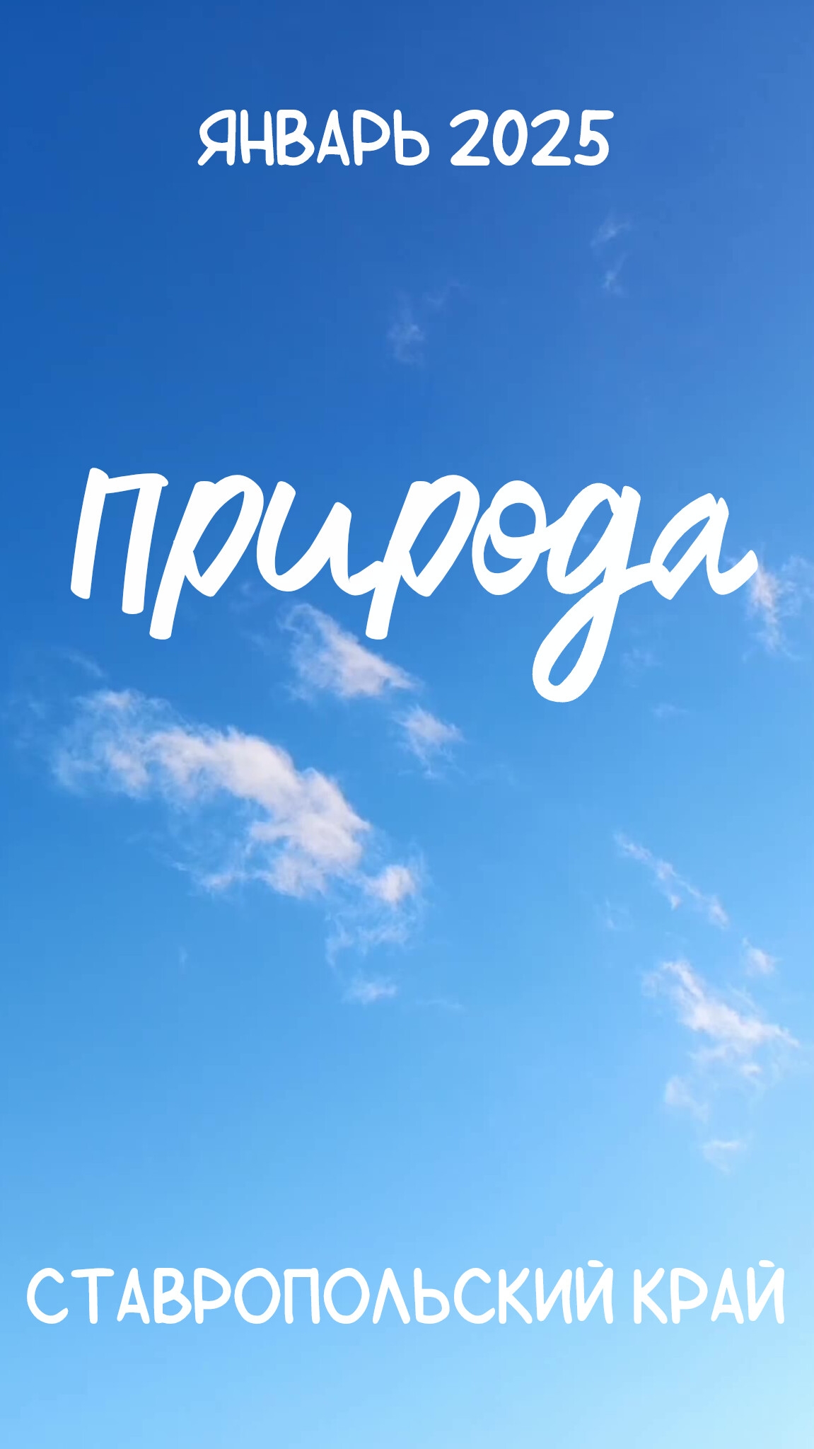 Природа. Январь 2025 года. Ставропольский край. #сегоднятак #природа #табиғ #自然 #nature