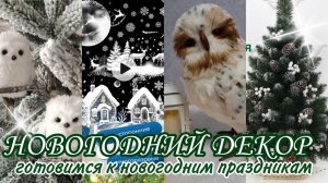 Волшебство новогодних покупок, готовимся к новому году вместе