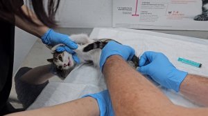 Мороз, улица и выпавший кишечник... | Ад для маленькой Марси