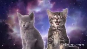 БАРСИК СЕВЕРНЫЙ