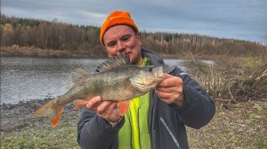 Рыбалка осенью на прудах. Ловля спиннингом щукуи и окуня на джиг