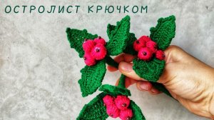 ОСТРОЛИСТ крючком / вяжем остролист / МК по вязанию остролиста крючком