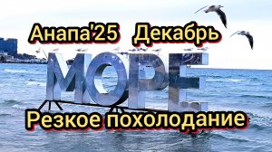 #Анапа #холодноеморе #чайки #собаки  10-12-2025