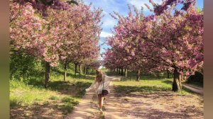 Мгновения жизни