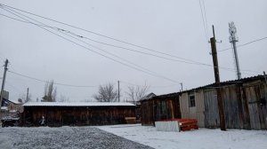 видео с прогулки