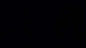 Прилет Индонезия