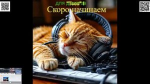 вроде апрель 2025