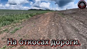 Приборный поиск. Копаем на откосах новой дороги