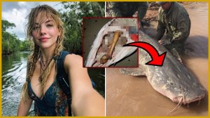 Туристка Пропала в Национальном Парке Конгари — Через 5 Лет Ее Останки Нашли Внутри Огромного Сома