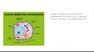 анатомия клетки растения 5 класс 1 часть