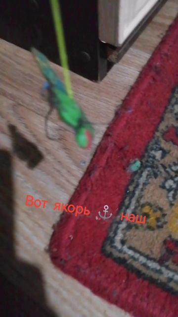 мой корабль готов на 999