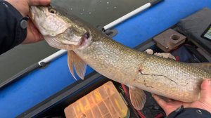 НА ЩУЧЬИХ ТРОПАХ: ОТКРЫВАЮ ЛУЧШИЕ МЕСТА ДЛЯ ЛОВЛИ!!!