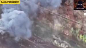 Сафари на ВСУ