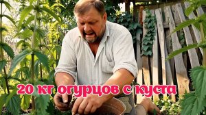 ЗАБРОШЕННАЯ РОССИЯ. ПАРОДИЯ НА КАНАЛ 20 КГ ОГУРЦОВ С КУСТА.