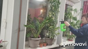 Чем занимались в морозный день