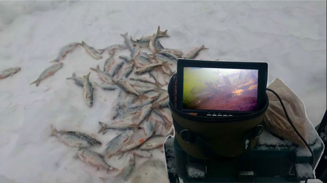 ВИДЕООТЧЕТ от 7 декабря 2025г. смотреть онлайн