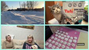 У нас МОРОЗЫ. ЗЕФИР с помощью КОМБАЙНА.