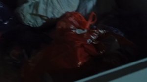 Весь день ныряла в морозилку 🤣.