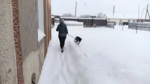 Зимний фитнес. Отдам бесплатно снег 😂
К нам пришла зима