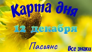 Карта дня❄12  декабря🎄☃️Пасьянс. Тайм-код в описании🦢