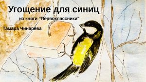 Угощение для синиц/Как дети решили синиц накормить..  /из книги ПЕРВОКЛАССНИКИ. / Тамара Чинарёва