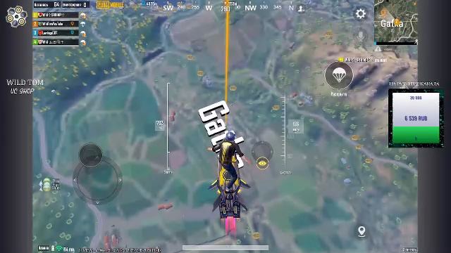 LIVE: WildTom_YouTube