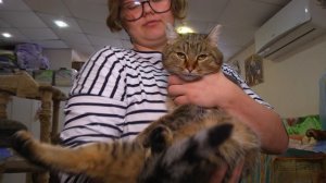 Ищу тебя, хозяин