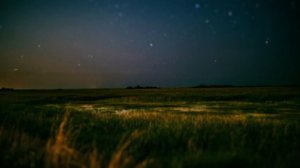 Летней ночью