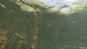 Дайвинг. Железногорск. Часть первая.