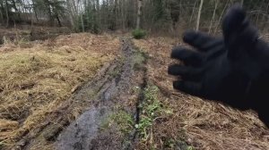 Поворот не туда.Я заехал в Таинственный лес.Это было ошибкой.Он снова приготовил для меня ловушки.