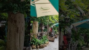 Дананг ресторан Ot Xanh Garden... Вьетнам 🇻🇳...