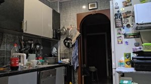 ЦЕЛЫЙ ДЕНЬ С УТРА И ДО ВЕЧЕРА С ВАМИ!