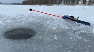 На эту снасть ловится вся рыба! Зимняя рыбалка
