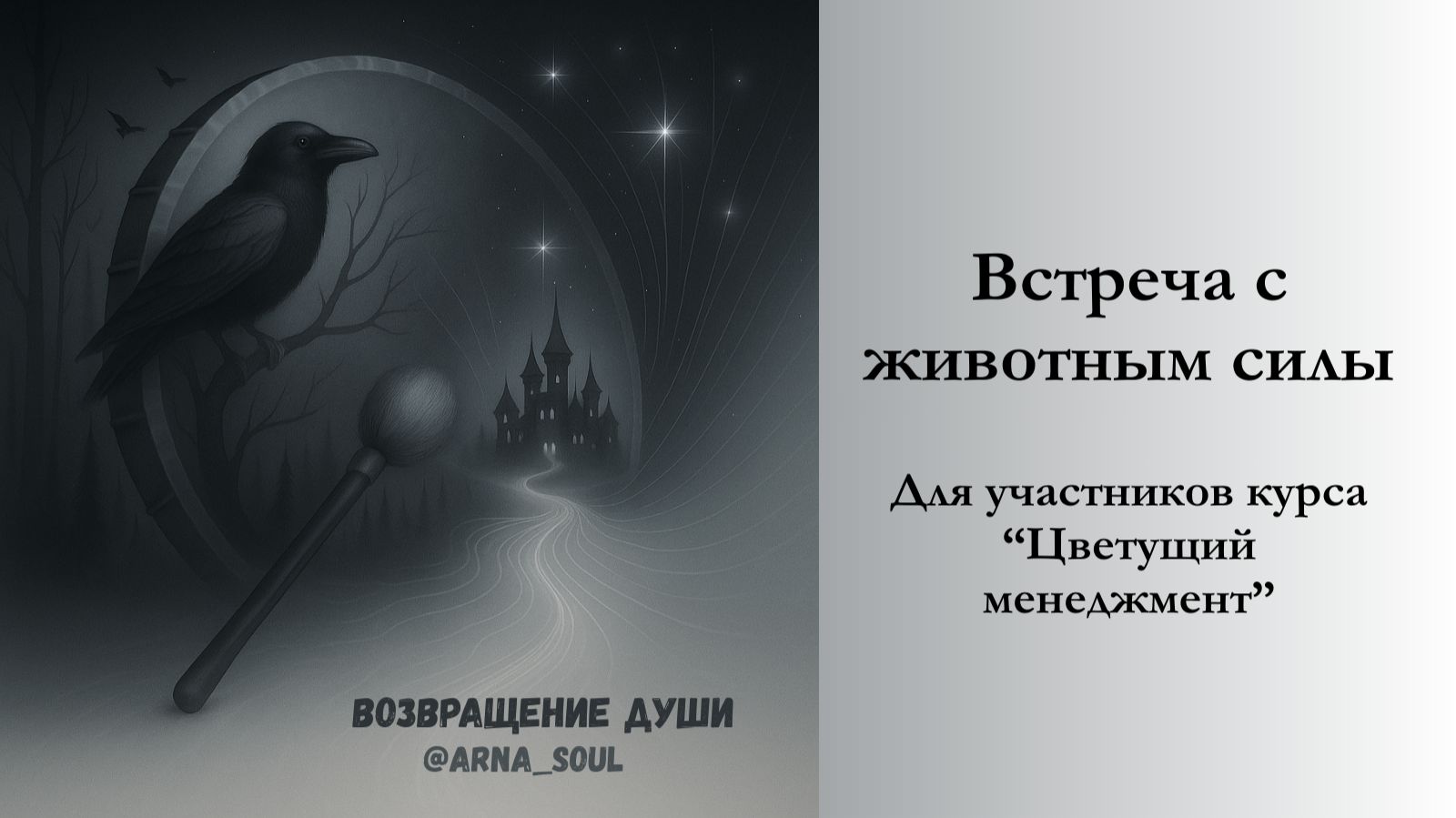 Медитация "Встреча с животным силы для реализации намерения". Для Цветущих смотреть онлайн