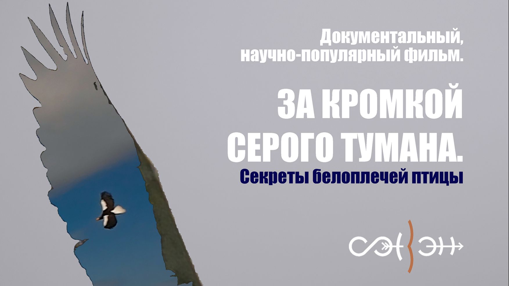 Презентация фильма За кромкой серого тумана. Секреты белоплечей птицы