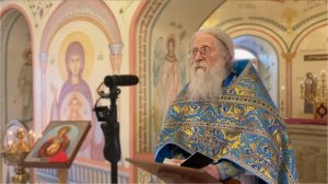 Сотвори с нами знамение во благо. Проповедь на празднование иконы Божией Матери «Знамение» 10.12.25