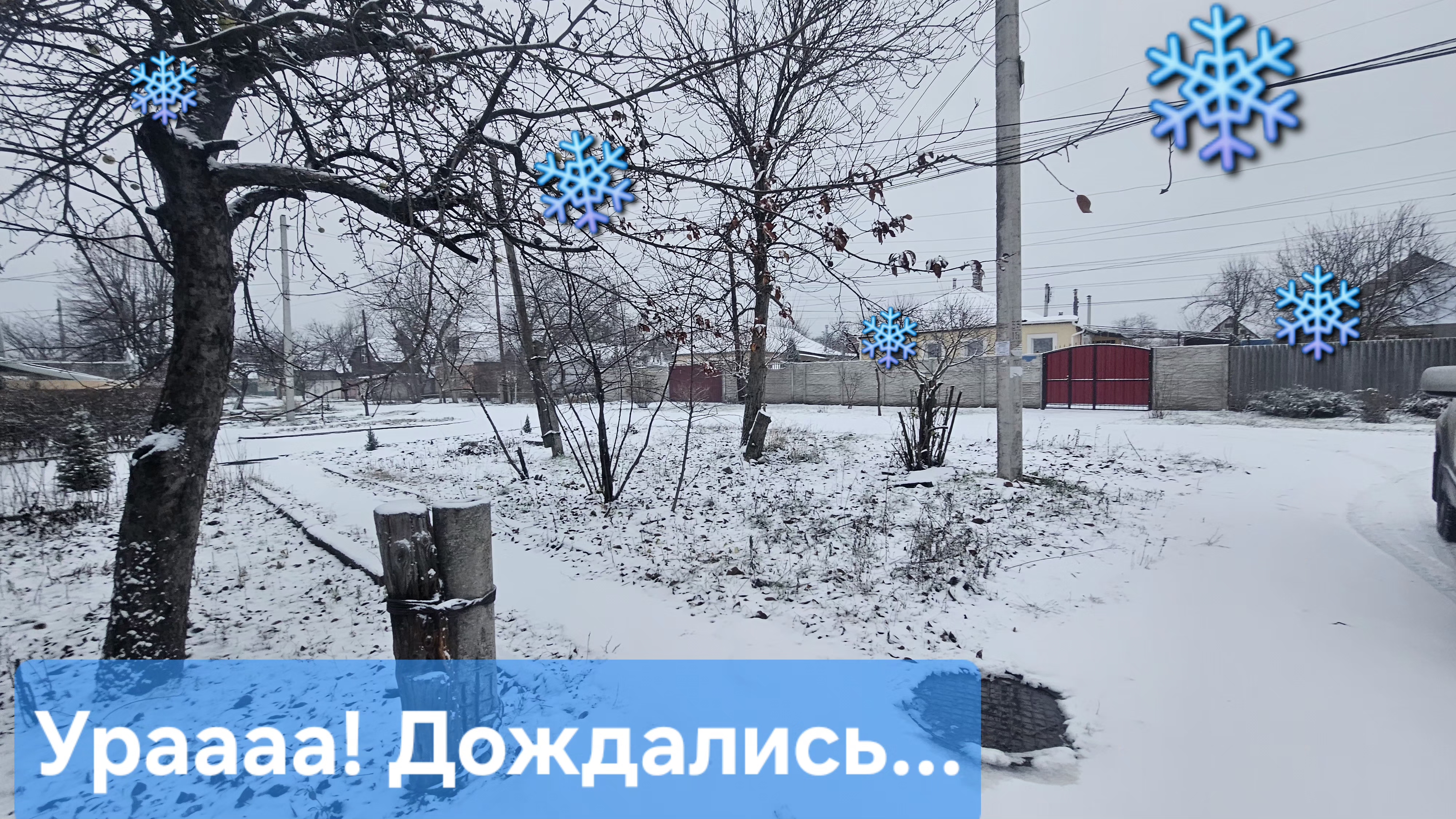 Выпал первый снег❄️ Нарядили ЁЛКУ 🎄09.12.2025