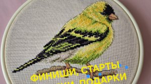 Финиш, старты,  покупки,  🎁 и процессы