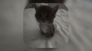 Плейлист для танцов