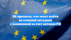 ЕК признала, что хочет выйти из сложной ситуации с экономикой за счет активов РФ