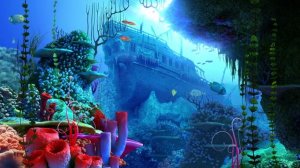 Морской аквариум