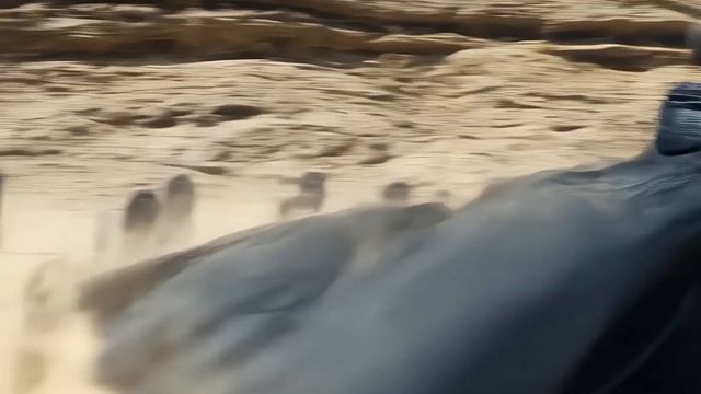 METALLICA FOR WHOM THE BELL TOLLS