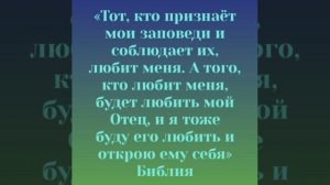 YouCut_20251211_001637494.mp4