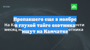Пропавшего еще в ноябре в глухой тайге охотника ищут на Камчатке