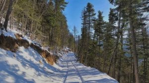 Старый конь борозды не испортит.