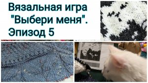 "Выбери меня". Отчёт 5, предпоследний. Связала ещё одну секцию котиков, работала над шалью "Поэма".