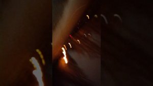 фигня полная. мы гуляем с братом.🦑