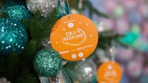 Телеканал «МИР» исполнил мечту четырехлетнего Севы в рамках акции «Елка желаний»